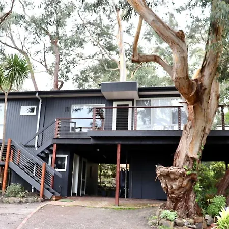 Whispering Gums - Ocean Views, Pet Friendly, Ev Unit 7Kw For Electric Cars, Sleeps 7 Villa Lorne Exterior photo